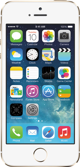 Apple iPhone 5S